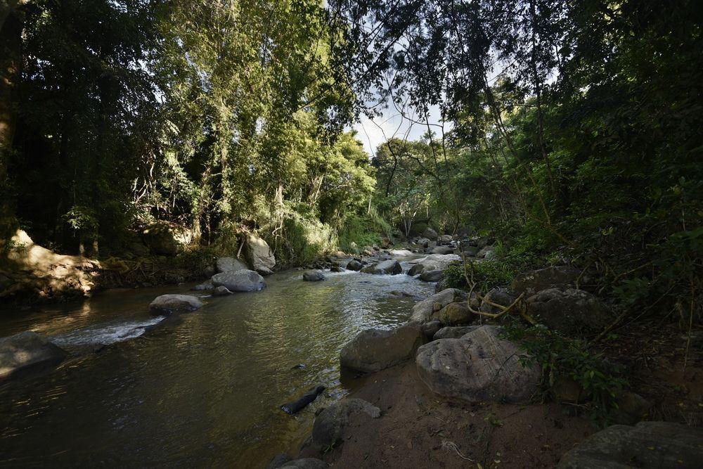Ella Jungle Inn Kahatamaditta Luaran gambar