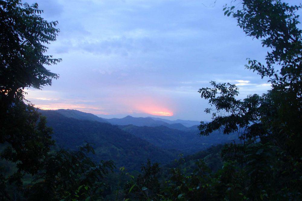 Ella Jungle Inn Kahatamaditta Luaran gambar